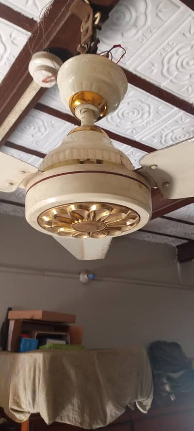 AC DC fan for sale