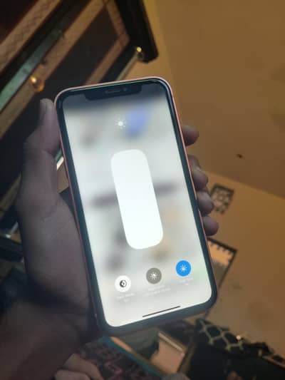 Apple iPhone XR Converted to 17 Pro