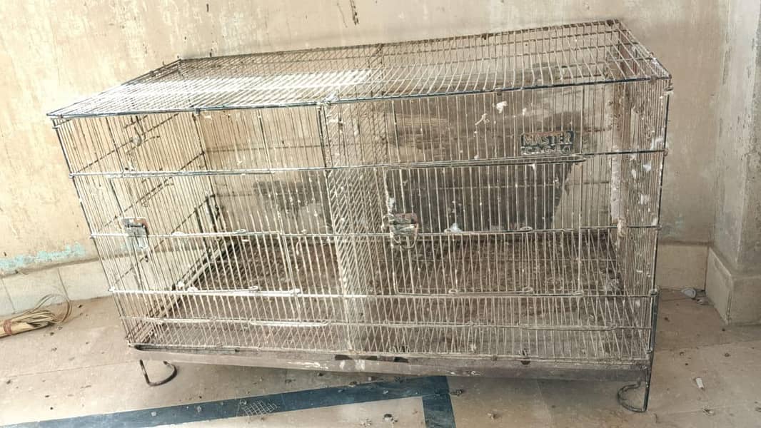 bird cage 1