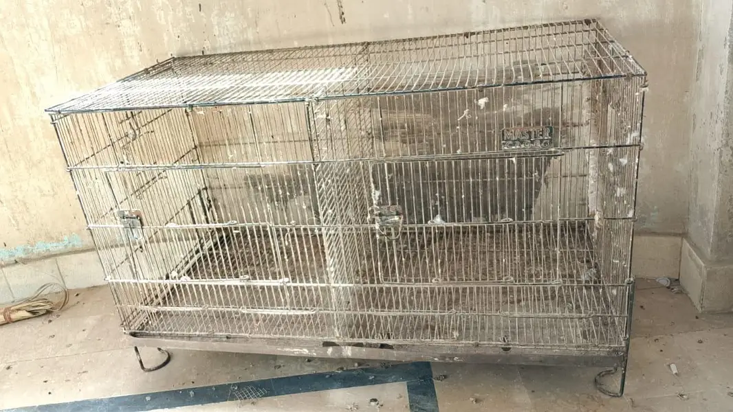 bird cage — photo 2