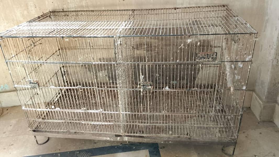 bird cage 3