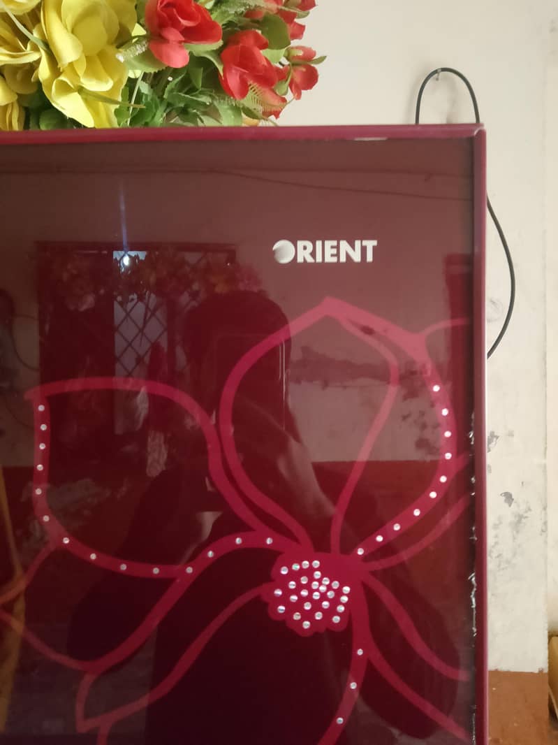 Orient Fridge 2