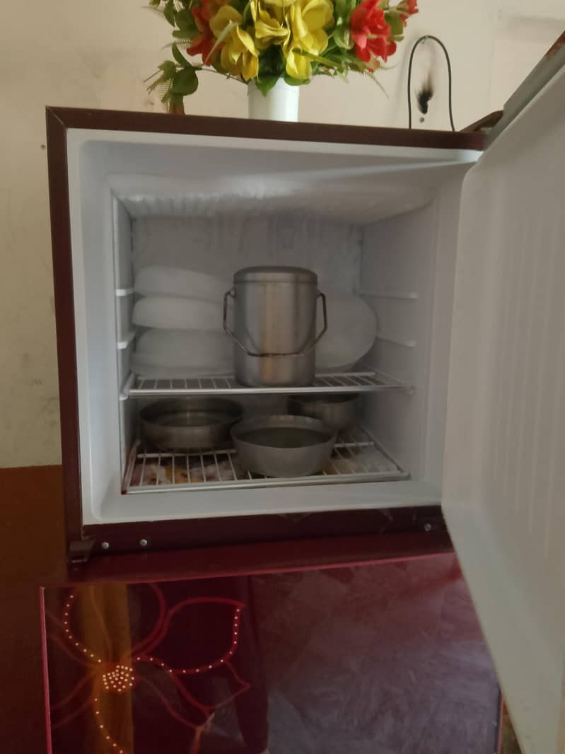 Orient Fridge 3