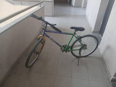 Multi-Color bicycle For SALE