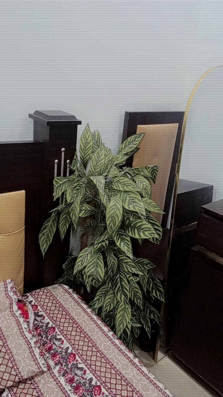 bed room set 4