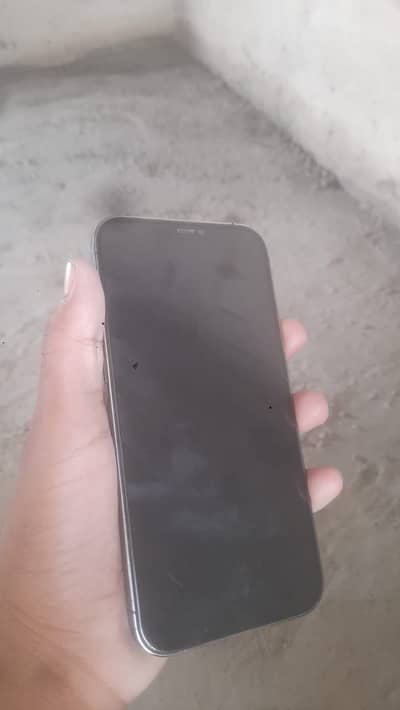 Apple iPhone 12 Pro Max