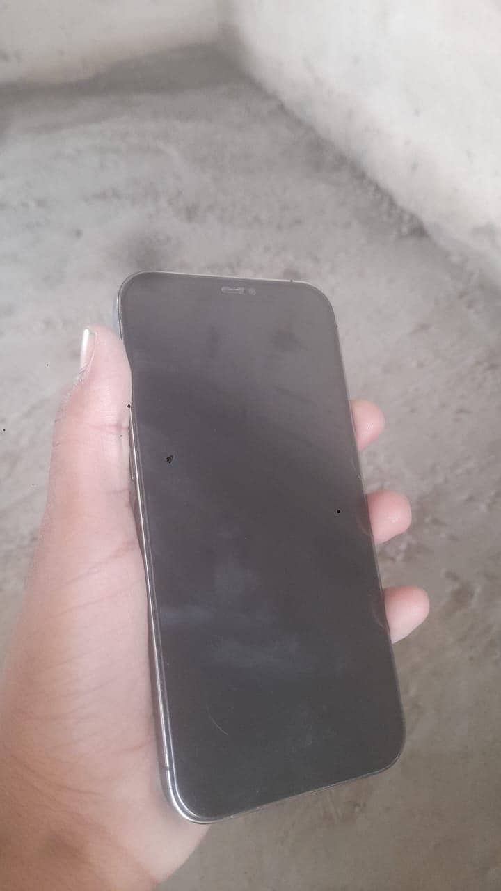 Apple iPhone 12 Pro Max 0