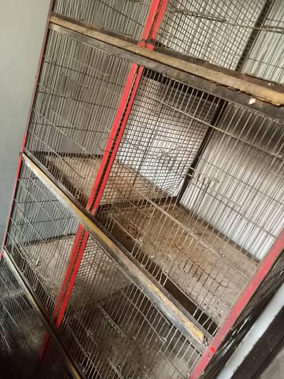 8 portion pinjra 4 cage 03125837770 call
