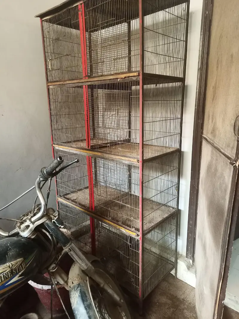 8 portion pinjra 4 cage 03125837770 call — photo 3