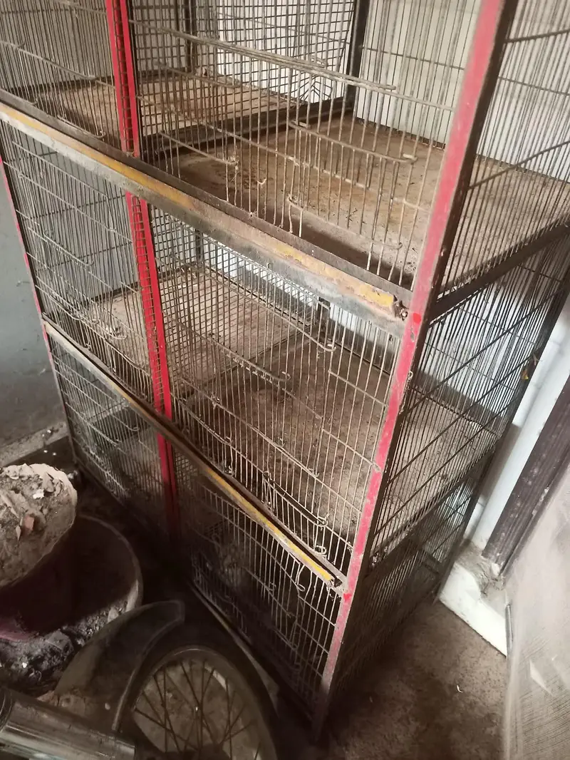 8 portion pinjra 4 cage 03125837770 call — photo 4