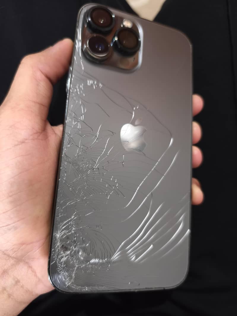 Apple iPhone 13 Pro Max 0