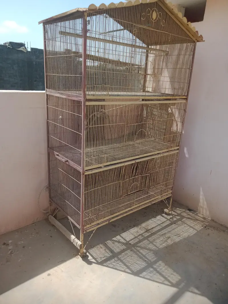 Used Iron Cage for Hens & Birds — photo 2