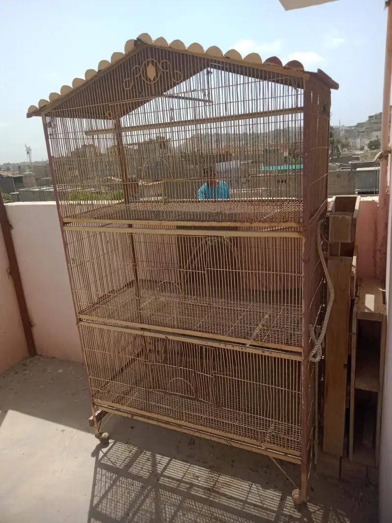 Used Iron Cage for Hens & Birds — photo 3
