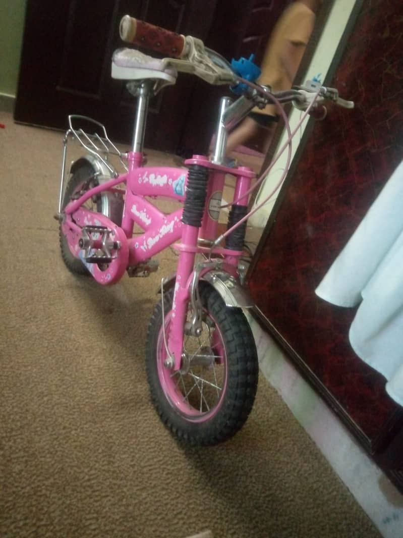Good Bicycle 0