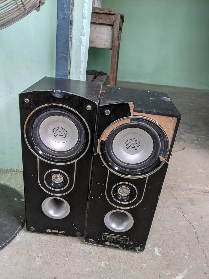 audience speaker 2