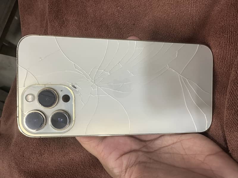 Apple iPhone 13 Pro Max 0