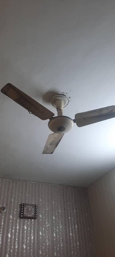 Younas Fan Cooper