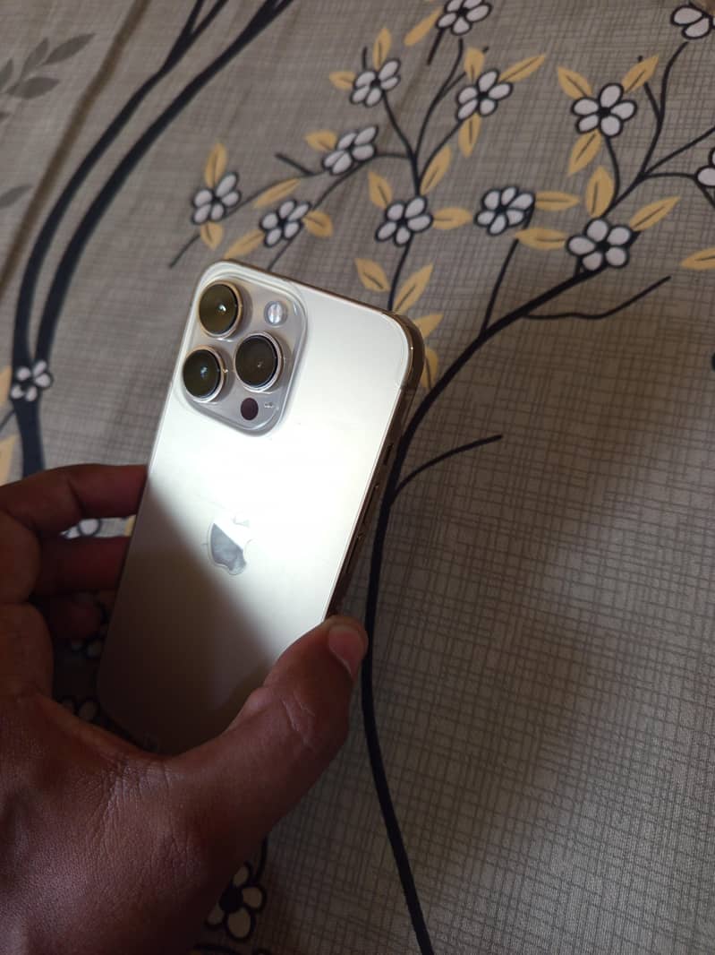 Apple iPhone 13 Pro 0
