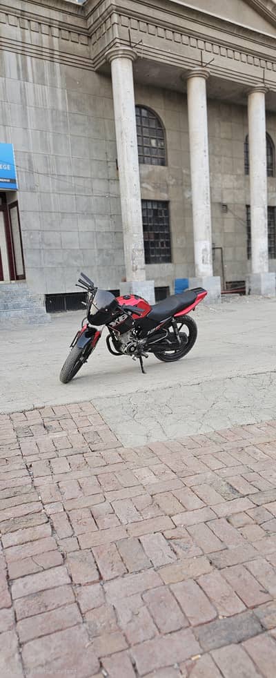 yamaha ybr