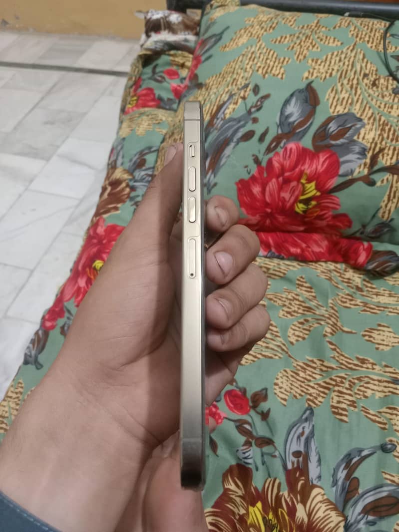 Apple iPhone 13 Pro Max 0