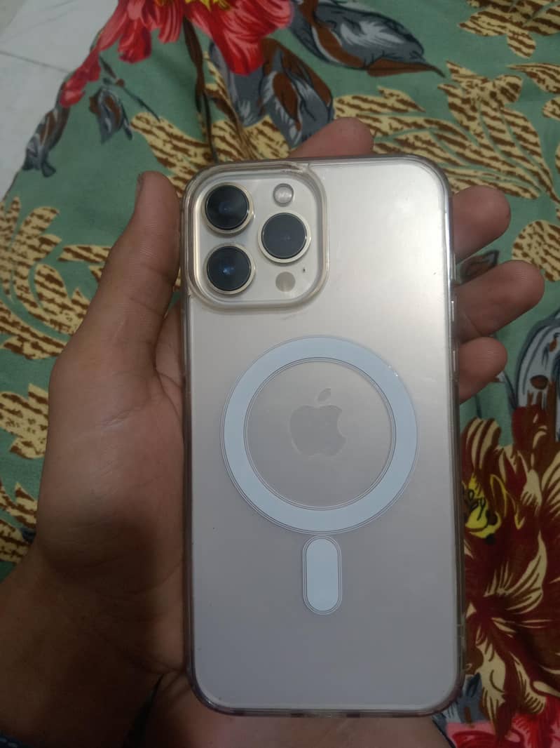 Apple iPhone 13 Pro Max 2
