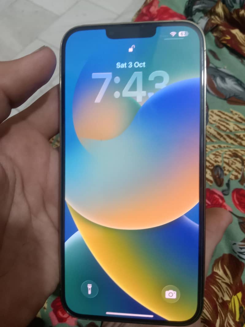 Apple iPhone 13 Pro Max 4