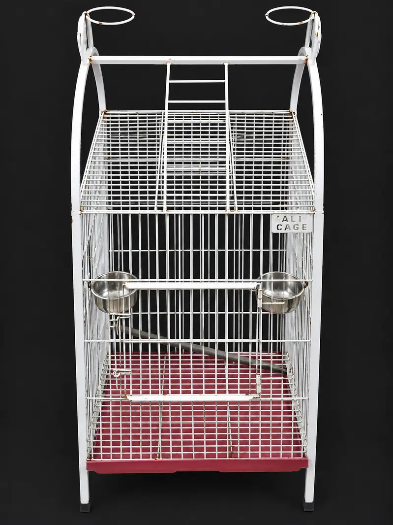 Parrot Cage — photo 2