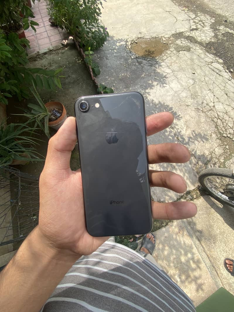Apple iPhone 8 1