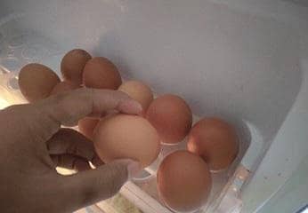 desi eggs 0