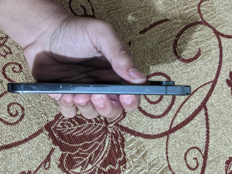 Google Pixel 9 Pro XL 1