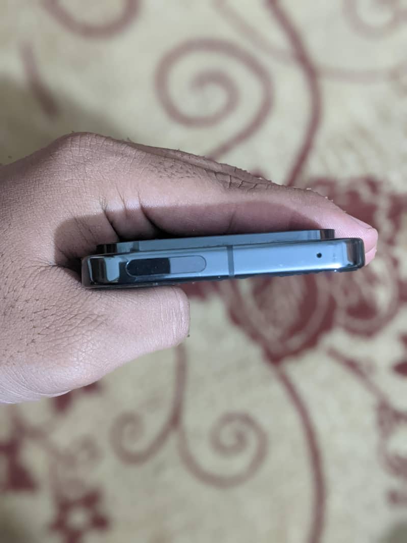 Google Pixel 9 Pro XL 5