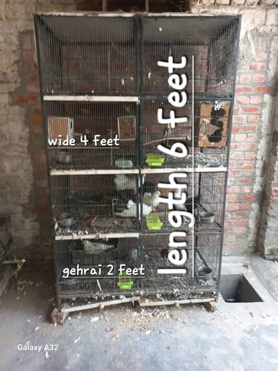 bird cage 6×4×2 feet for sale 2×2 k 6 khany