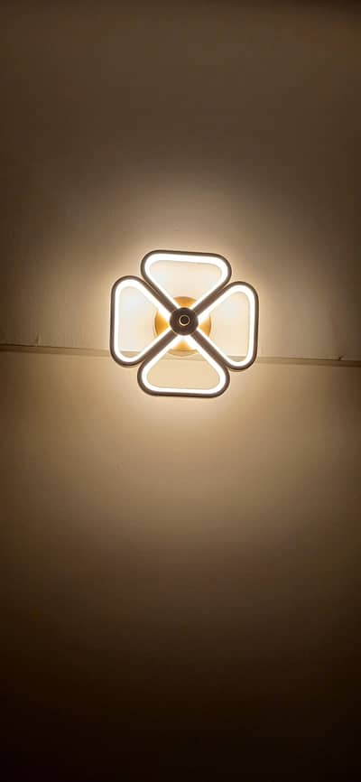 Fancy lights for room and kitchen (both)