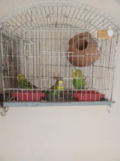 urgent for sale