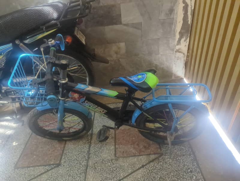 Cycle 1