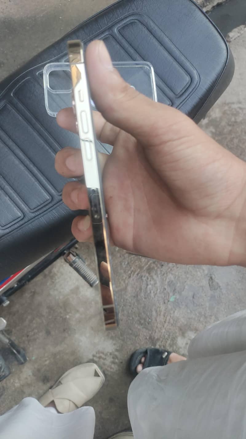Apple iPhone 12 Pro Max 1