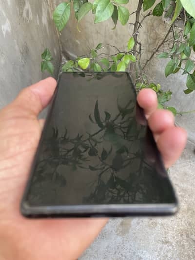 Google Pixel 6 pta approved