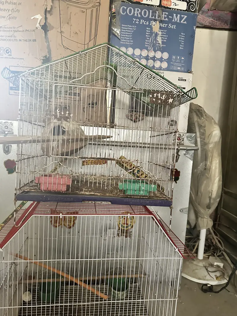 Cages for Birds — photo 2