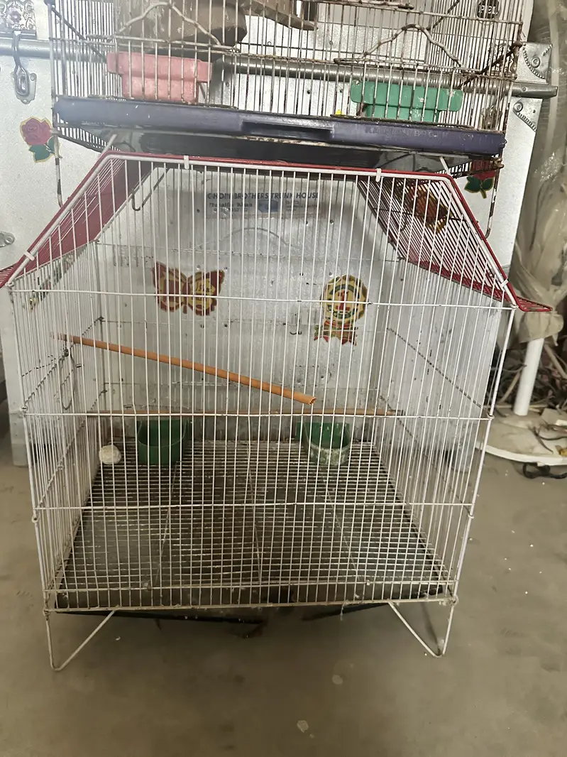 Cages for Birds — photo 3