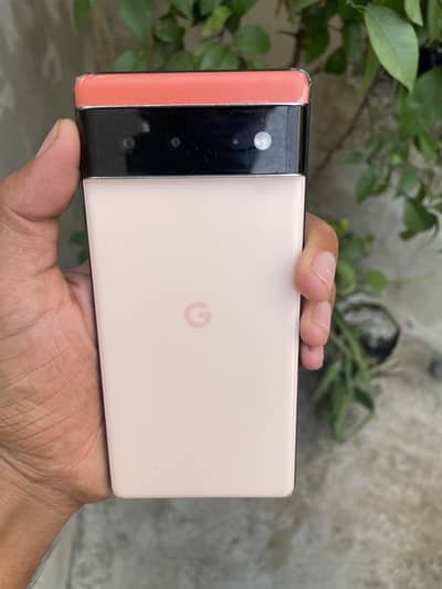 Google Pixel 6 pta approved