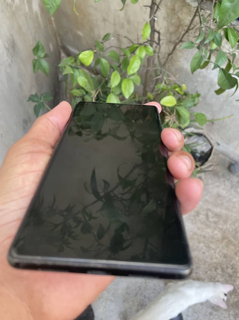 Google Pixel 6 pta approved 3