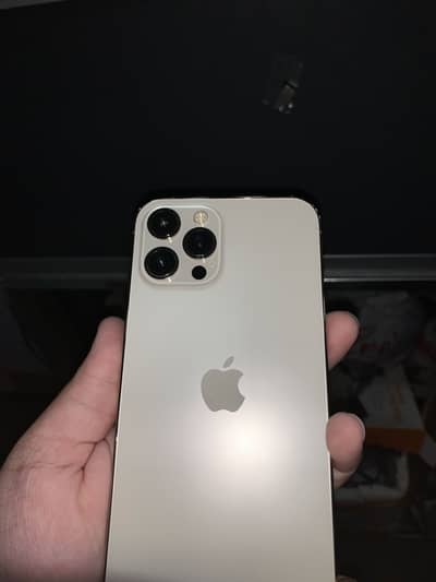 Apple iPhone 12 Pro Max