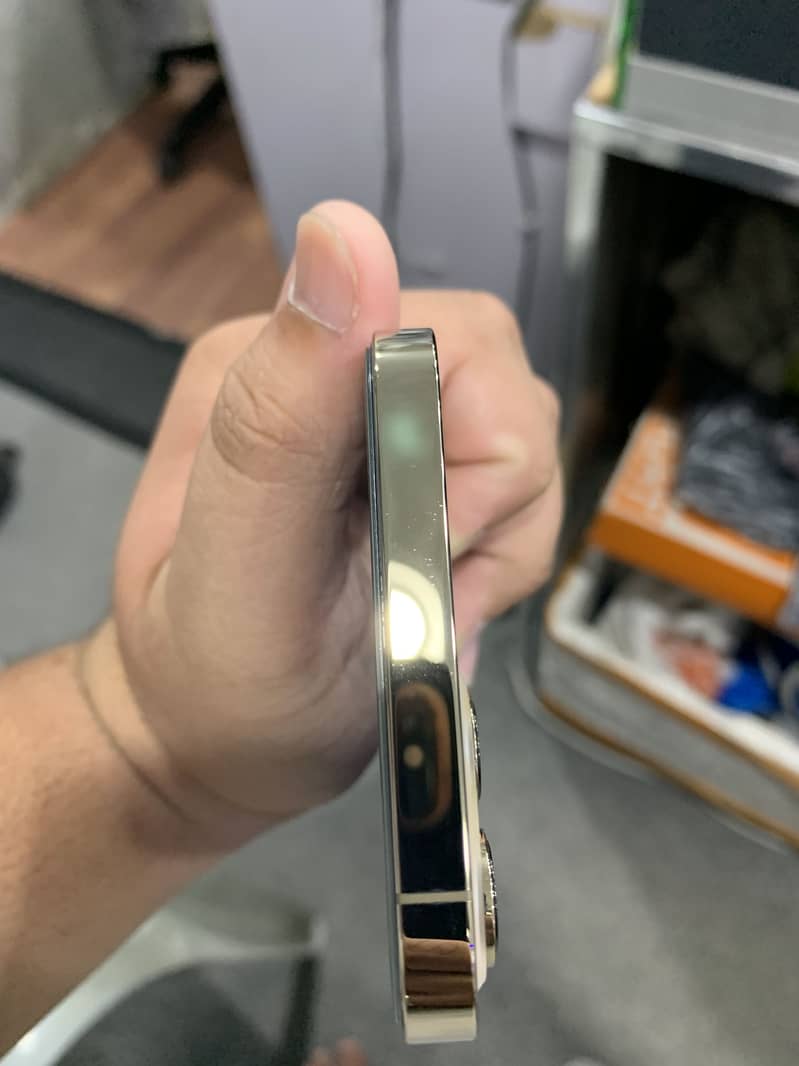 Apple iPhone 12 Pro Max 5