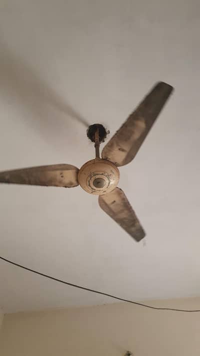 ceiling fan 220v