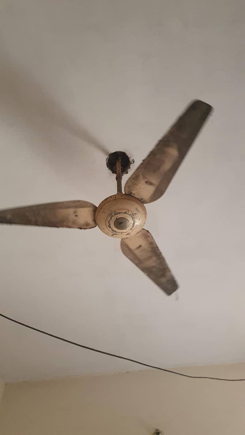 ceiling fan 220v 0
