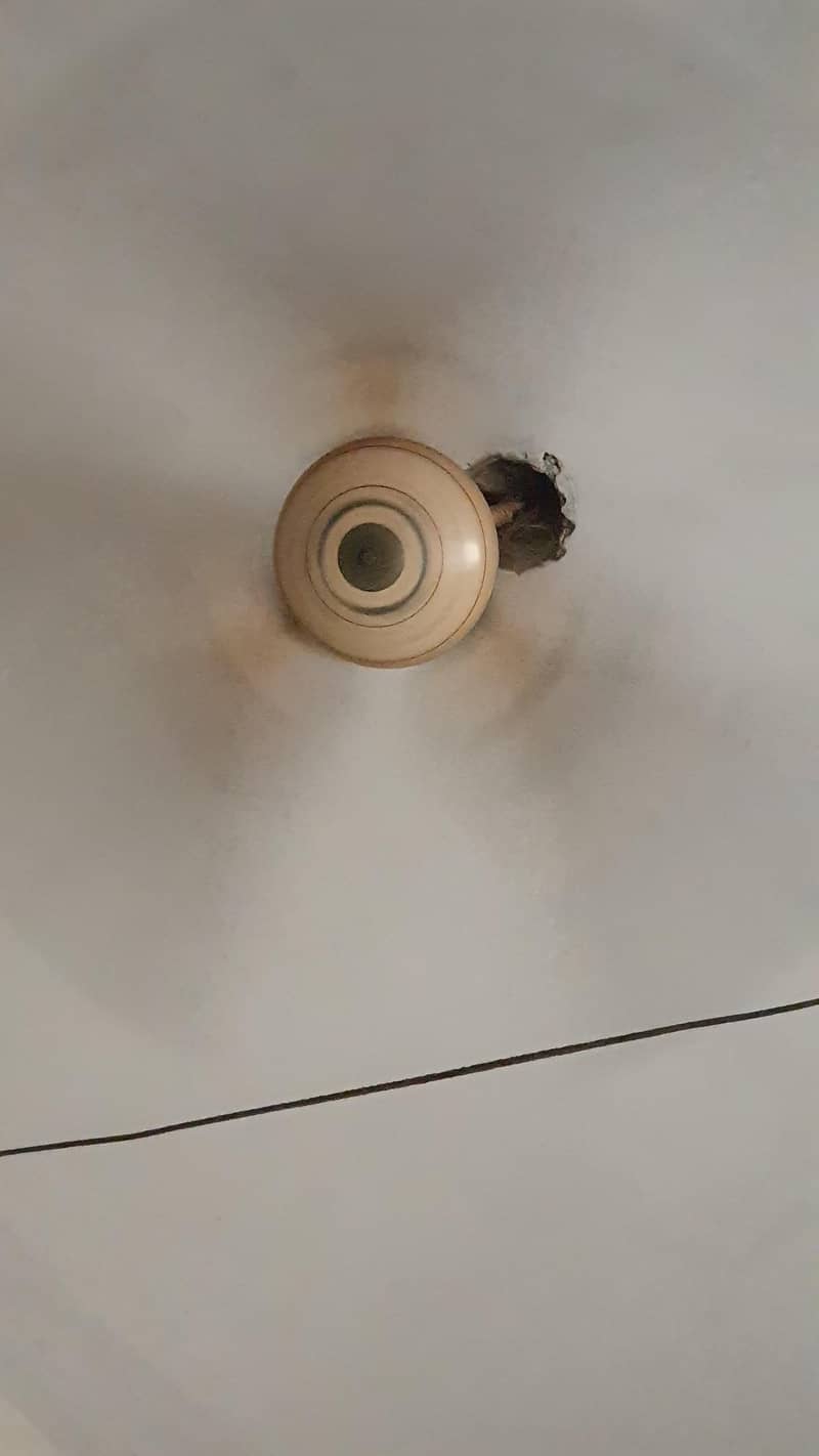 ceiling fan 220v 1