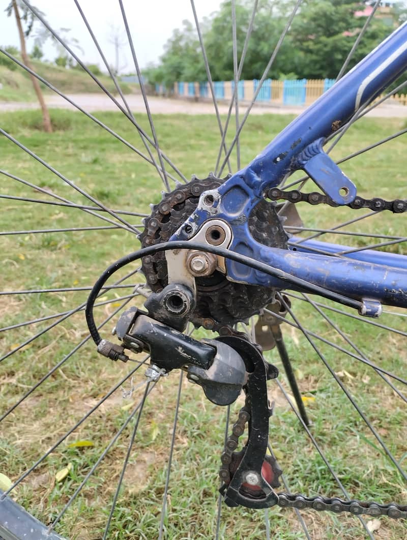 Bicycle 0