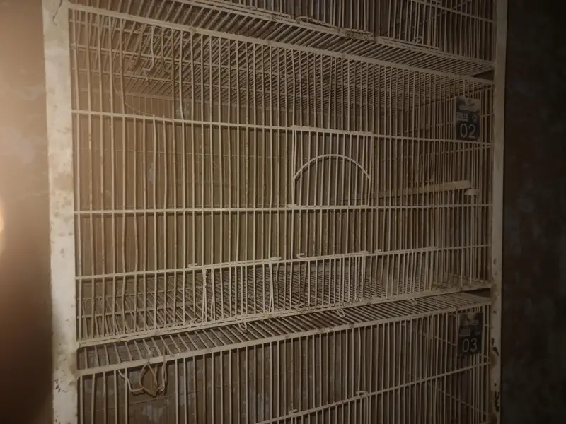 birds double cage heavy duty 5 stories 2cages in less price — photo 2