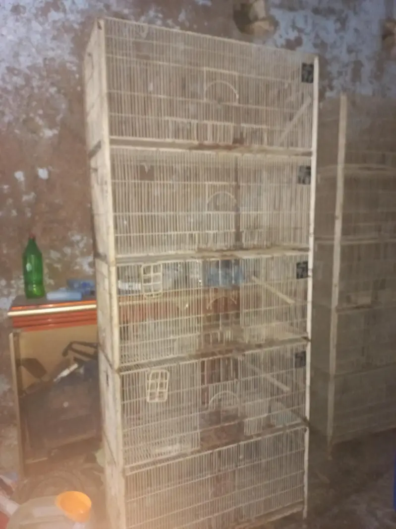 birds double cage heavy duty 5 stories 2cages in less price — photo 4