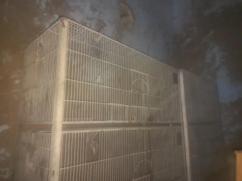 birds double cage heavy duty 5 stories 2cages in less price — photo 5